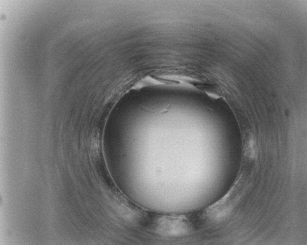 X0000062170179200512121249