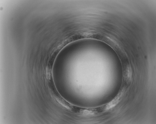 X0000062170180200512121250