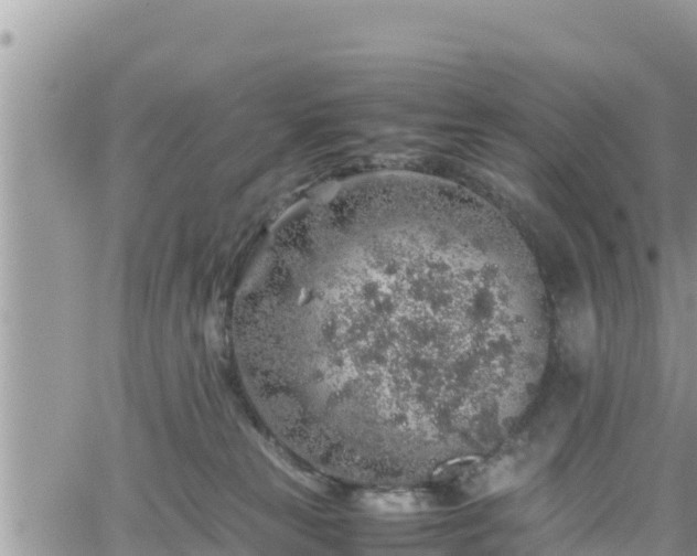 X0000062170181200512121250