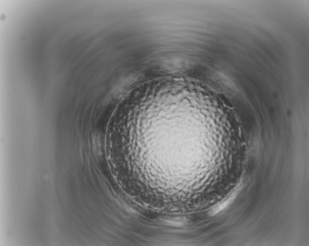 X0000062170182200512121250