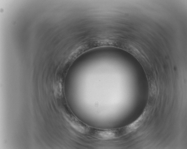 X0000062170183200512121250