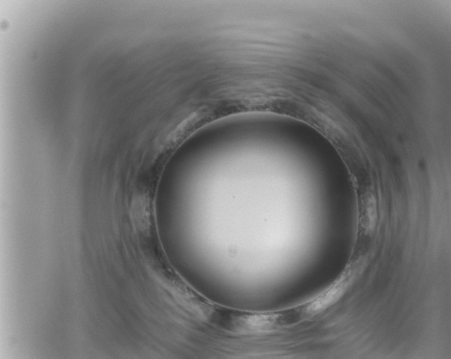 X0000062170184200512121250