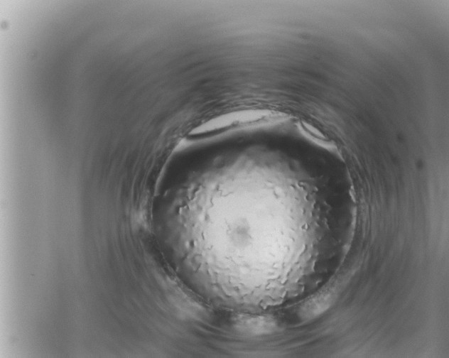 X0000062170185200512121250