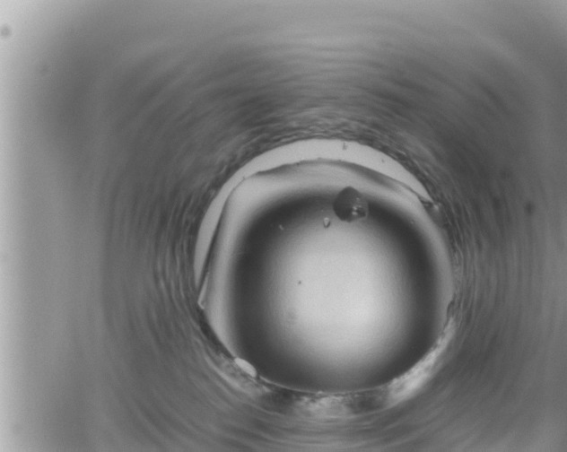 X0000062170186200512121250