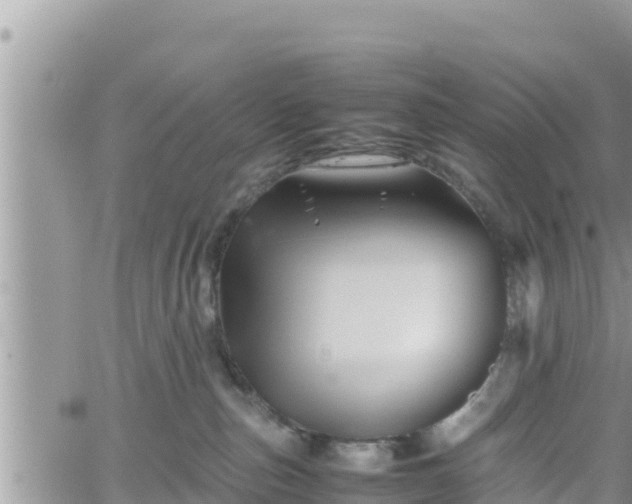 X0000062170187200512121250