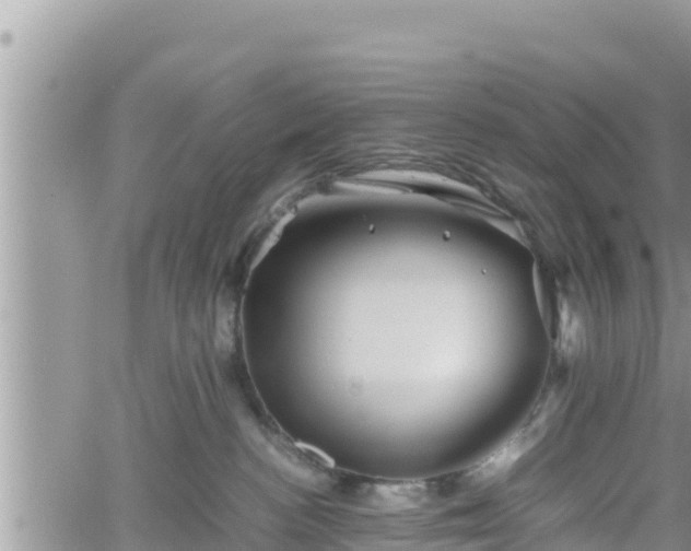 X0000062170188200512121250