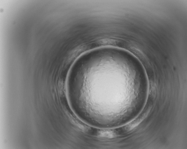 X0000062170189200512121250