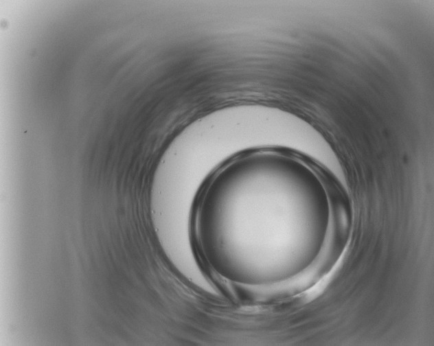 X0000062170190200512121250