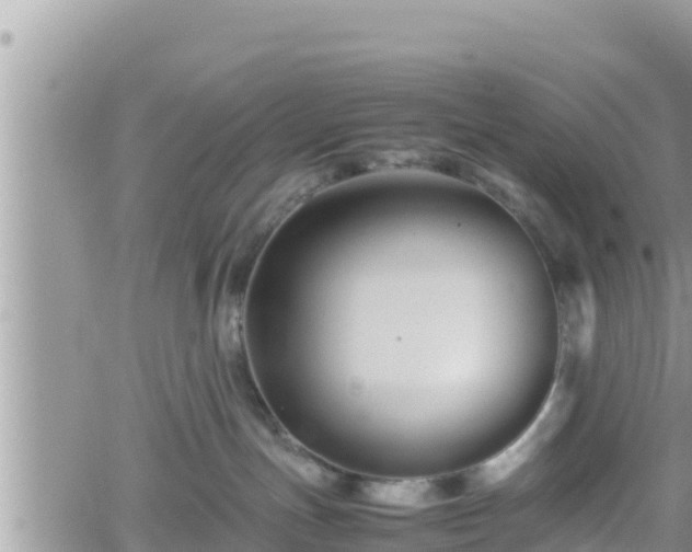 X0000062170191200512121250