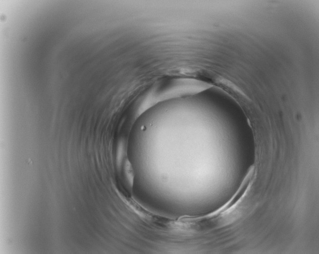 X0000062170192200512121250