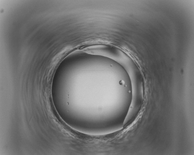 X0000062170193200512121249