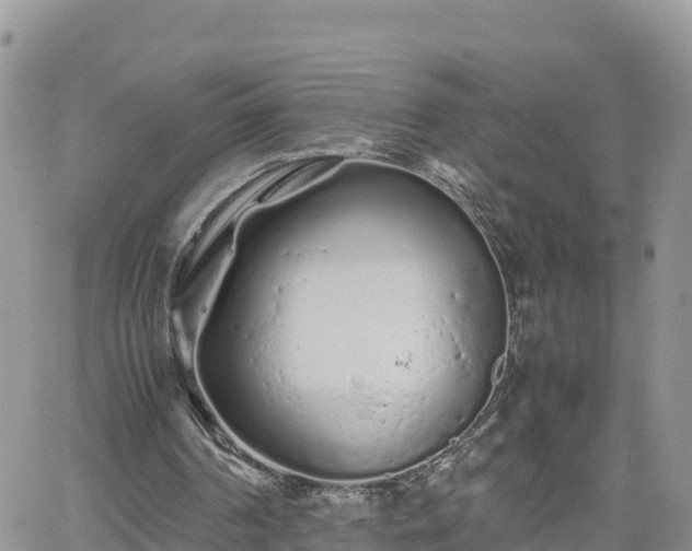 X0000062170194200512121249