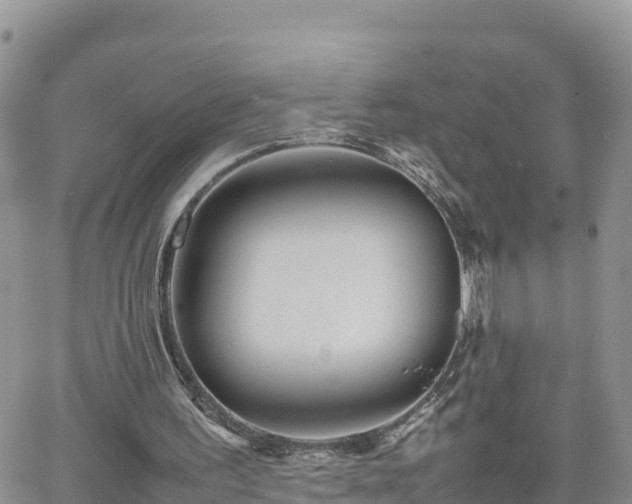 X0000062170195200512121249