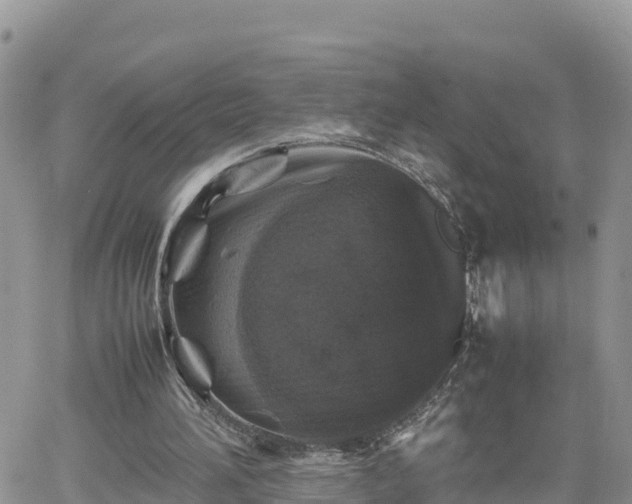 X0000062170196200512121249