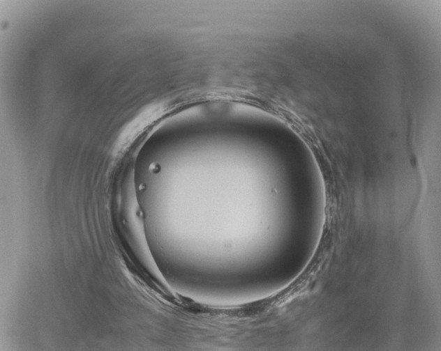 X0000062170197200512121249