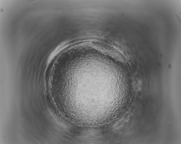 X0000062170198200512121249