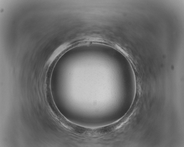 X0000062170199200512121249