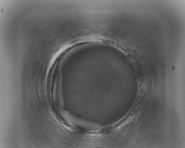 X0000062170200200512121249