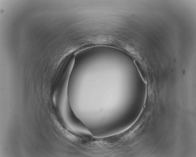 X0000062170201200512121249