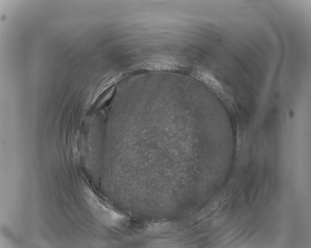 X0000062170202200512121249