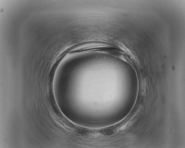 X0000062170203200512121249