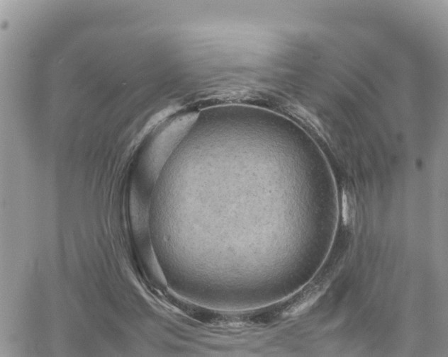 X0000062170205200512121249