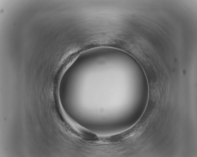 X0000062170207200512121249