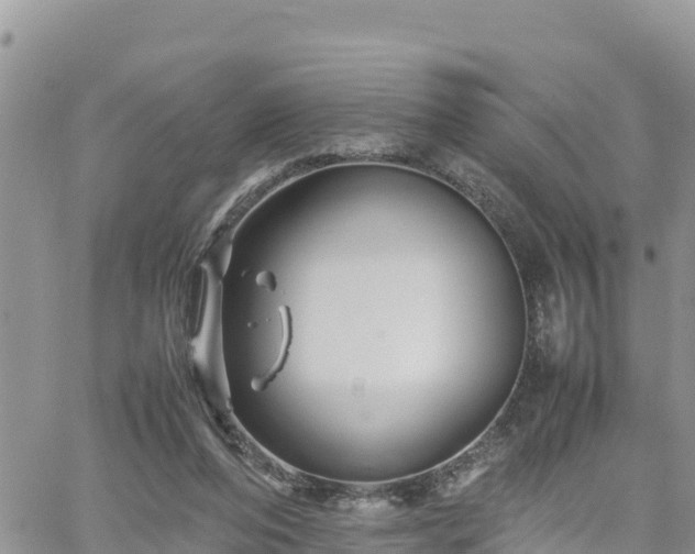 X0000062170208200512121249