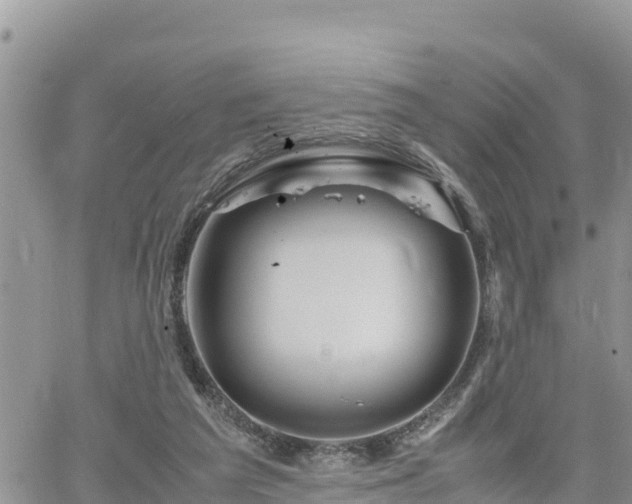 X0000062170209200512121249