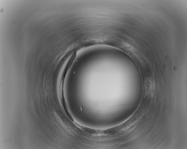 X0000062170212200512121249