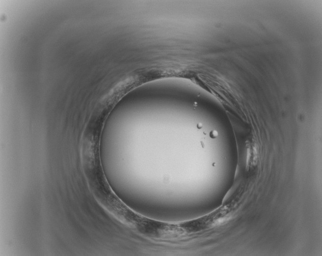 X0000062170215200512121249