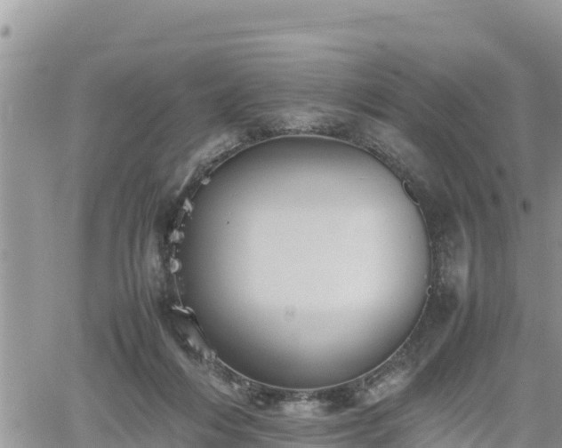 X0000062170216200512121249