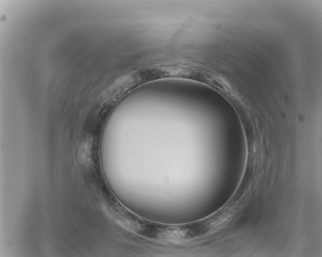 X0000062170217200512121249