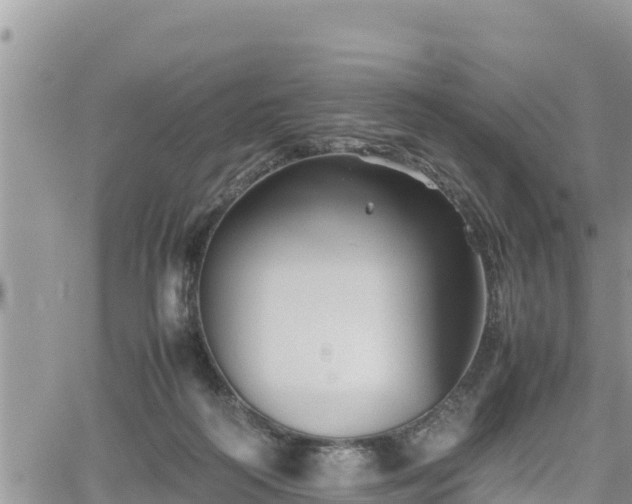 X0000062170218200512121249