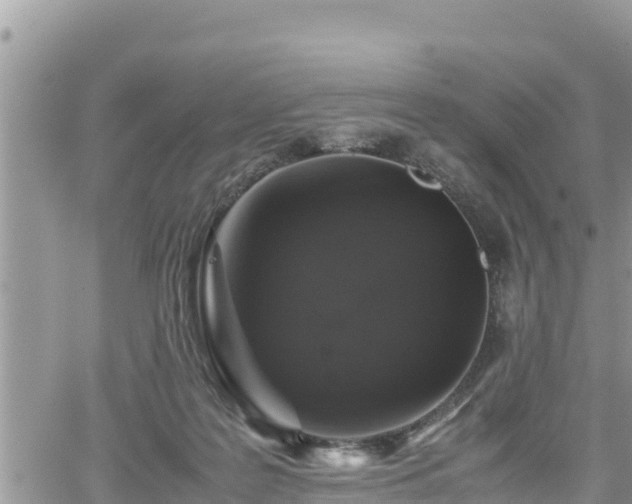 X0000062170219200512121249