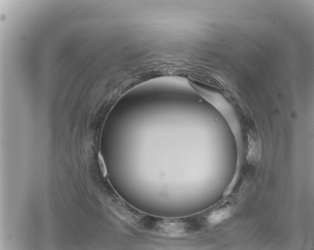 X0000062170221200512121248