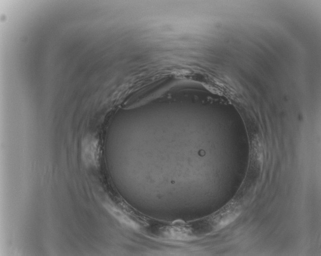 X0000062170223200512121248