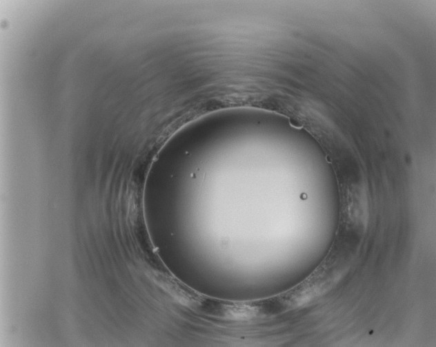 X0000062170226200512121248