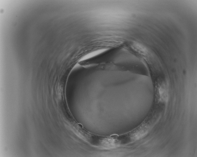 X0000062170227200512121248