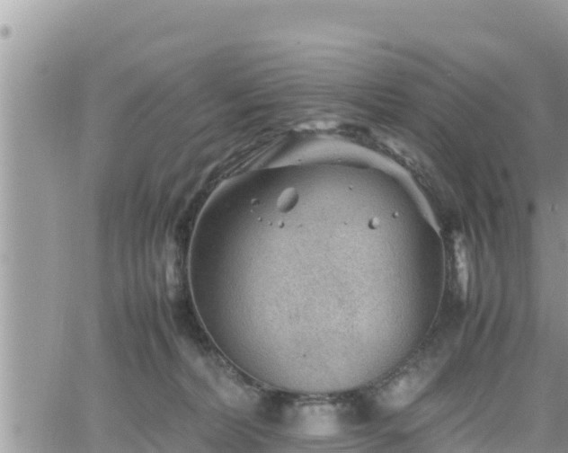 X0000062170228200512121248