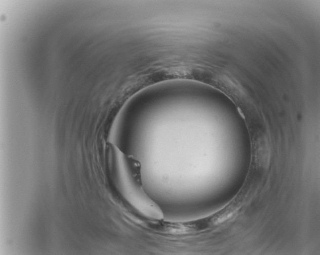 X0000062170229200512121248