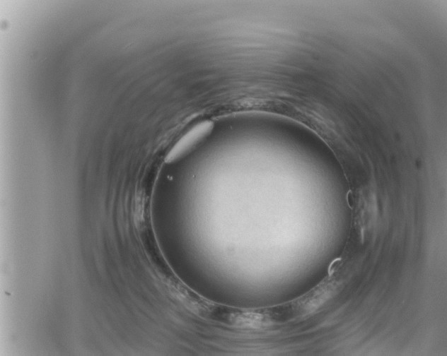 X0000062170230200512121248