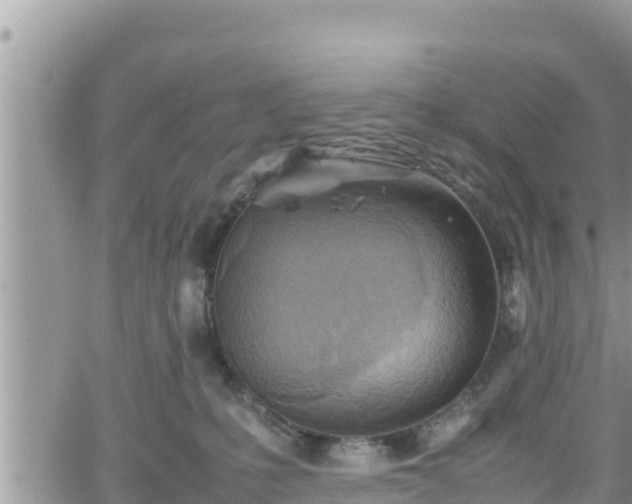 X0000062170231200512121248