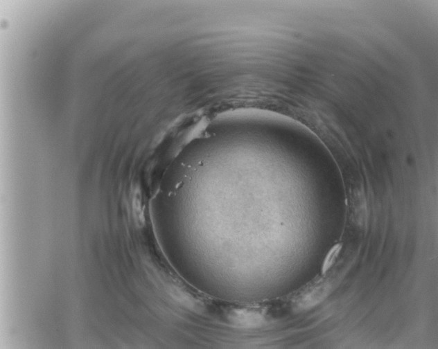 X0000062170232200512121248