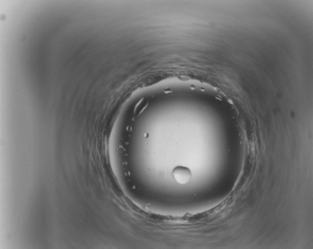 X0000062170233200512121248