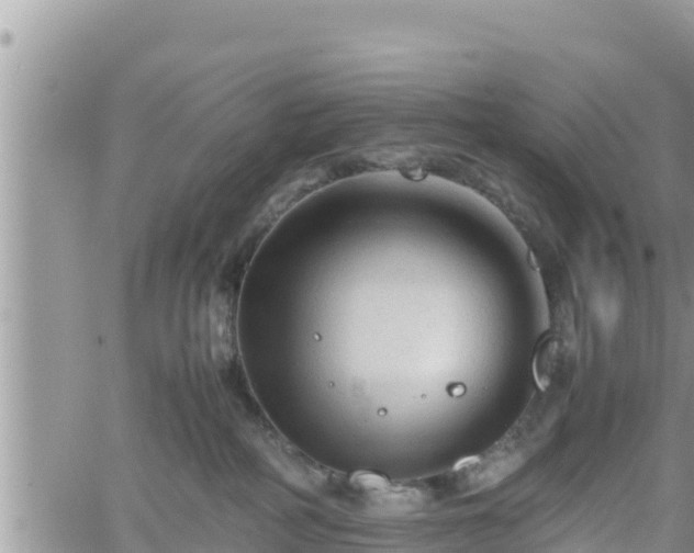 X0000062170234200512121248