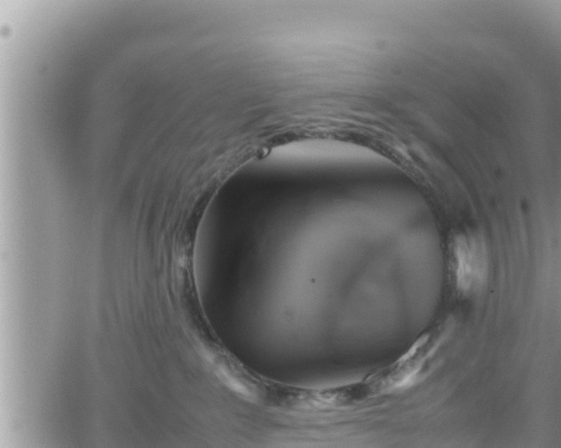 X0000062170235200512121248