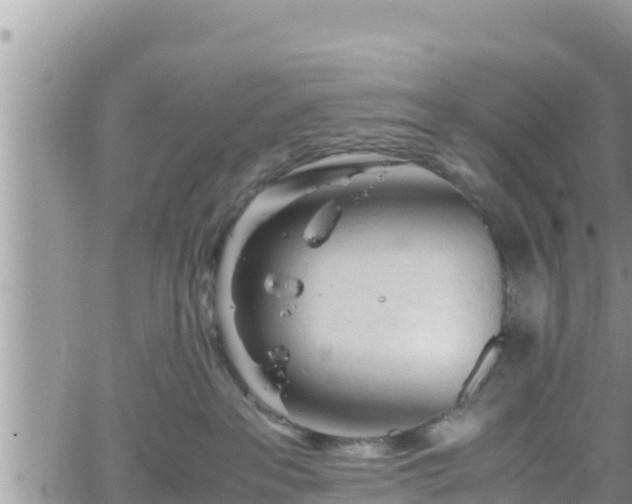 X0000062170237200512121248