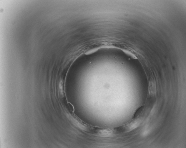 X0000062170238200512121248