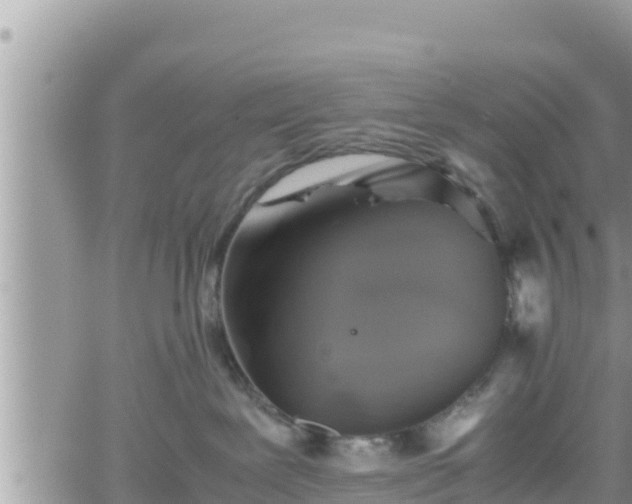 X0000062170239200512121248